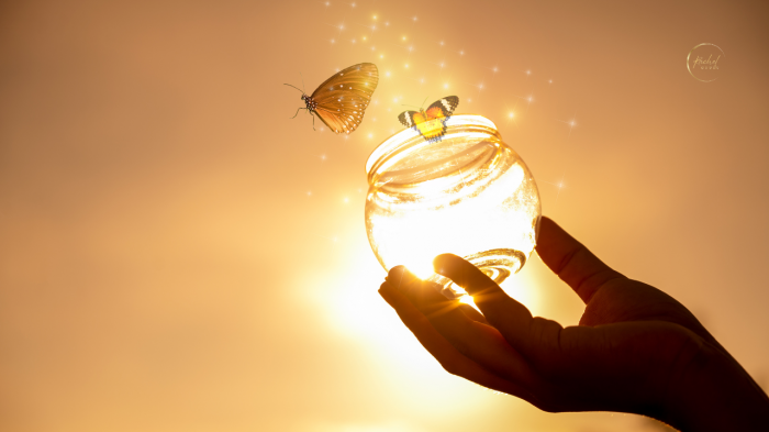 Manifester ses rêves : dépasser ses blocages et créer une vie alignée