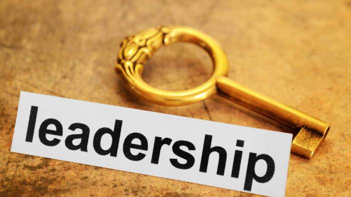 Leadership et humanité : un nouveau modèle pour les managers