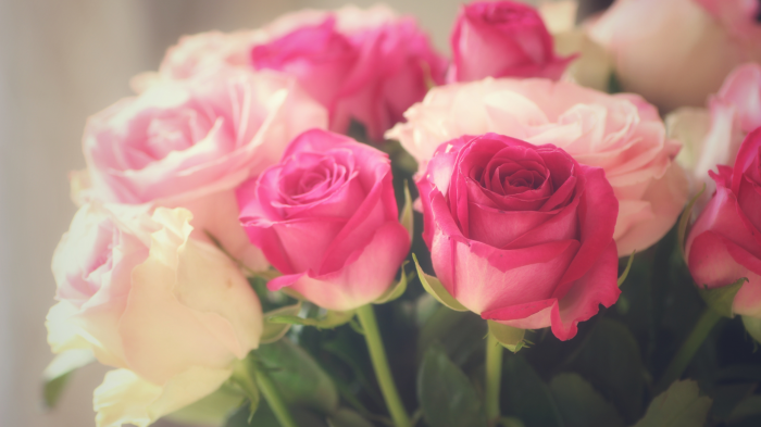 Aimer en toute liberté : équilibre entre amour, respect et indépendance