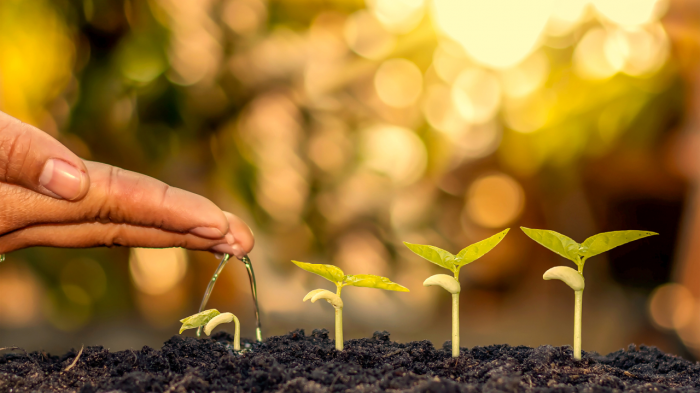 Le feedback constructif : un levier pour motiver et responsabiliser vos équipes