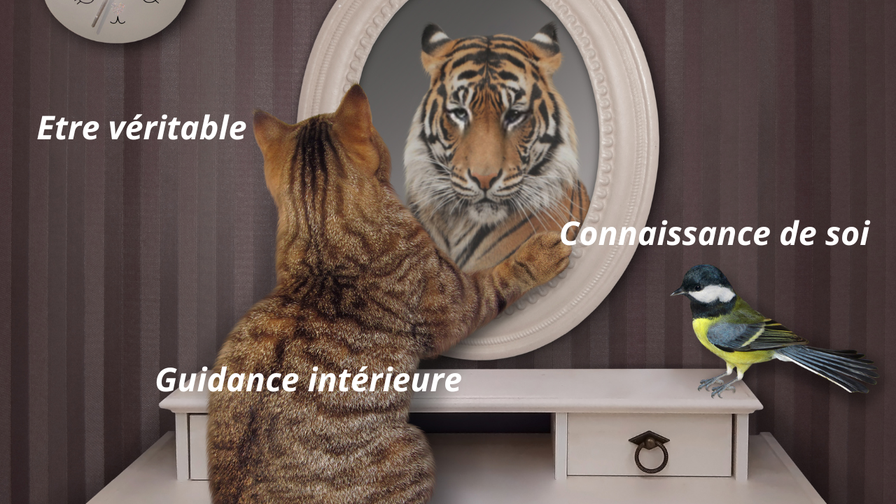 Apprendre à bien vous connaitre